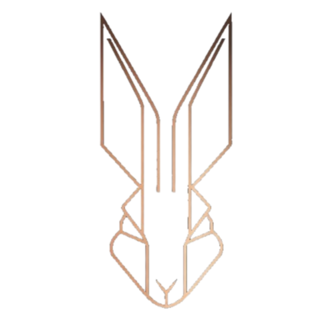 Bunny Capital Security logo